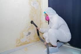 Best HVAC Mold Inspection and Cleaning  in Aberdeen, ID